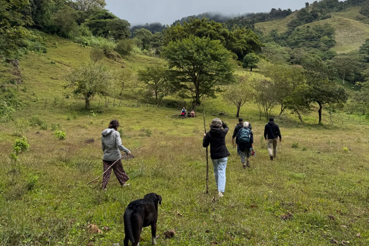 Tour de café 2 une visite d'une exploitation de café en petit groupe au Costa Rica