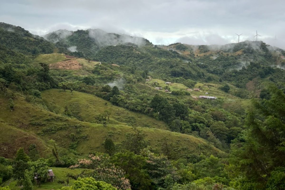 les montagnes d'Orosi au Costa Rica, la verdure à l'état brut