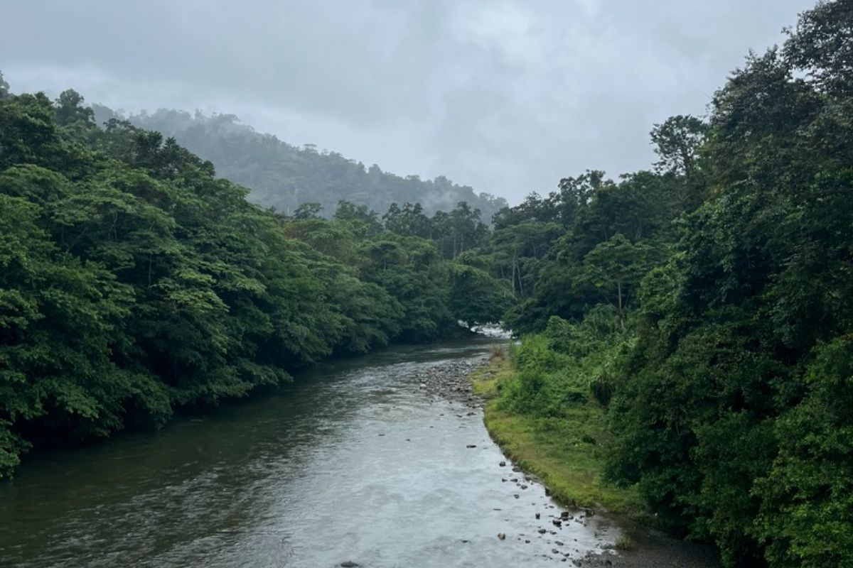 Telire le fleuve Sixaola, frontière du territoire Bribri
