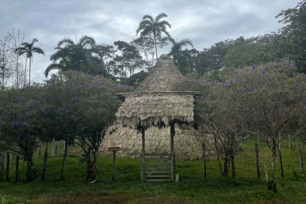 Usure L'Úsure, la maison traditionnelle des Bribris au Costa Rica