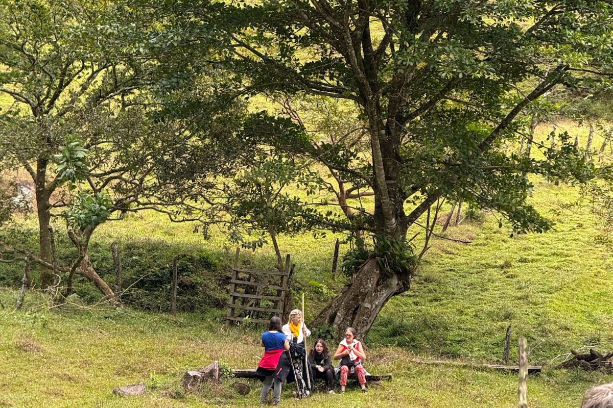 assis sous un arbre Un petit groupe assis sous un arbre pendant la visite d'une plantation de café au Costa Rica