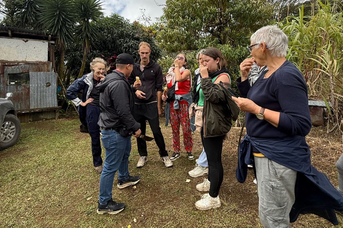 canne à sucre un groupe goûte de la canne à sucre pendant un voyage au Costa Rica