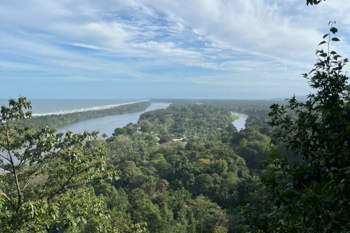 la vue de la jungle cernée par la mer et les canaux, à Tortuguero au Costa Rica