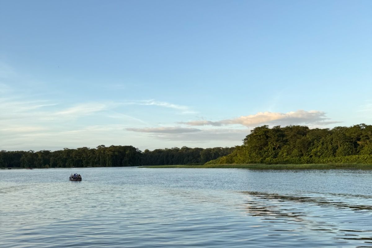 les canaux de Tortuguero, au Costa Rica