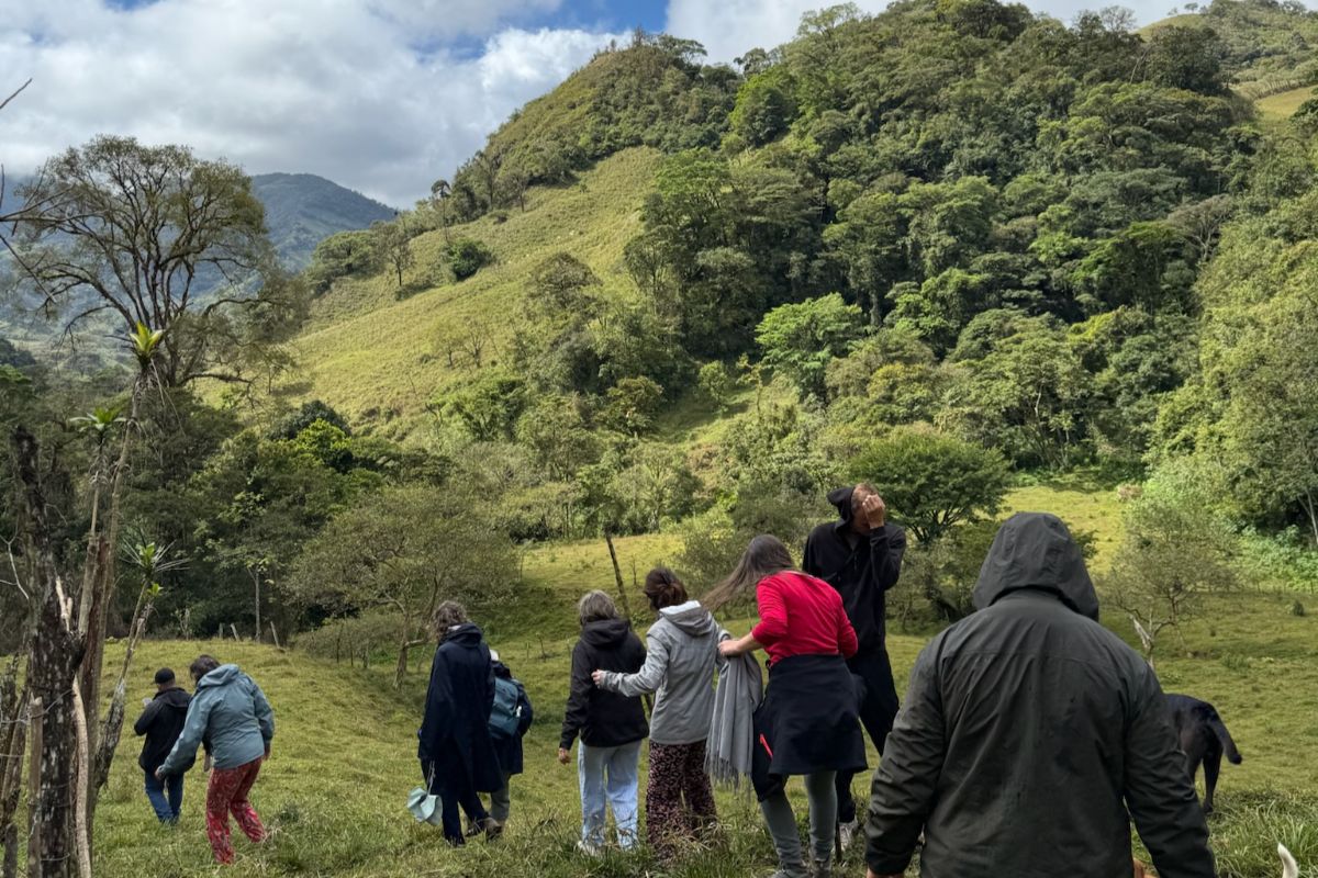 groupe marche sur la plantation un groupe découvrant une plantation de café pendant un voyage au Costa Rica