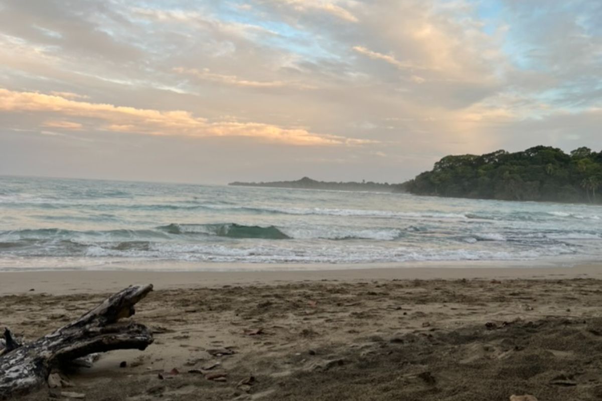 Une plage de Puerto Viejo sur la côte Caraïbe au Costa Rica