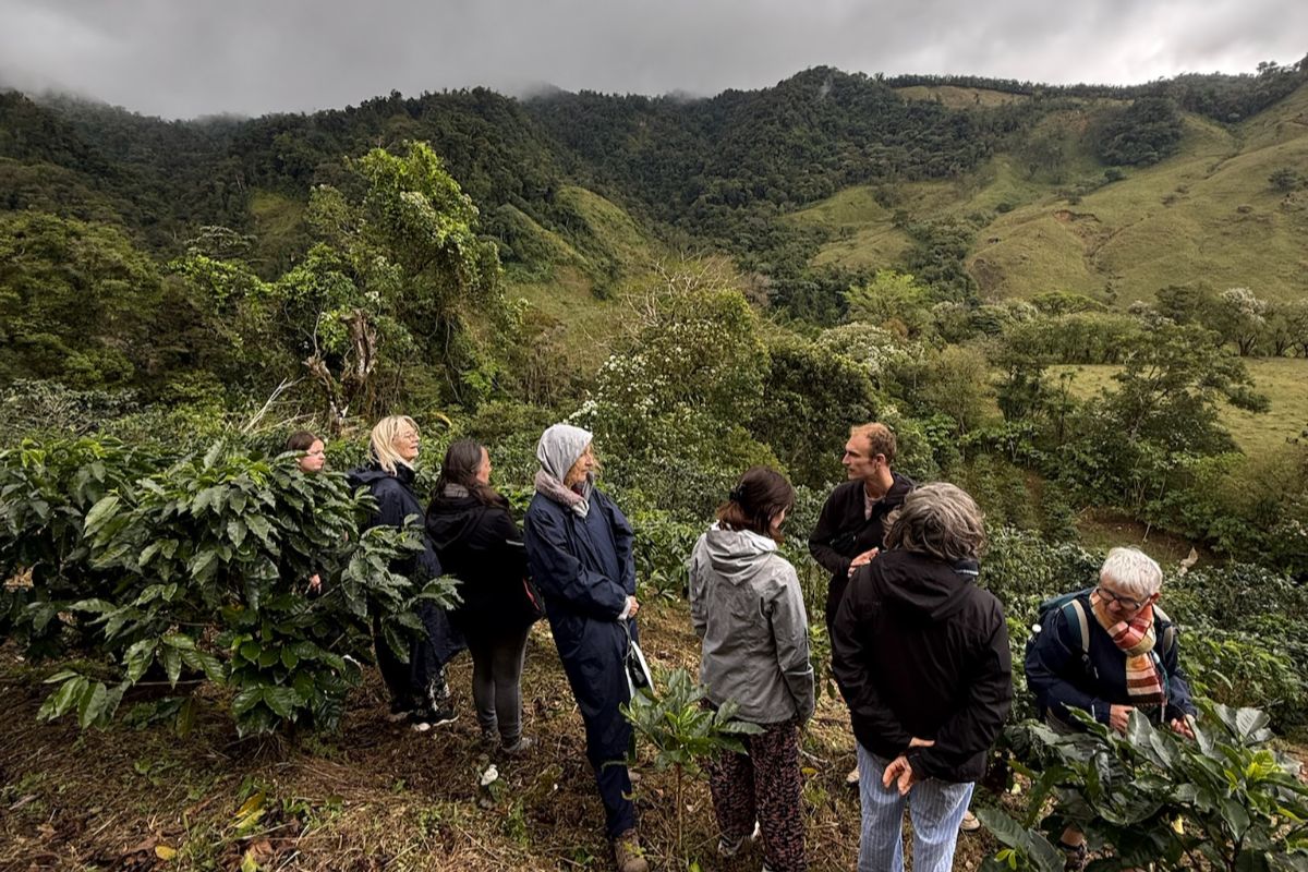 plantatio café 2 un groupe découvrant une plantation de café au Costa Rica