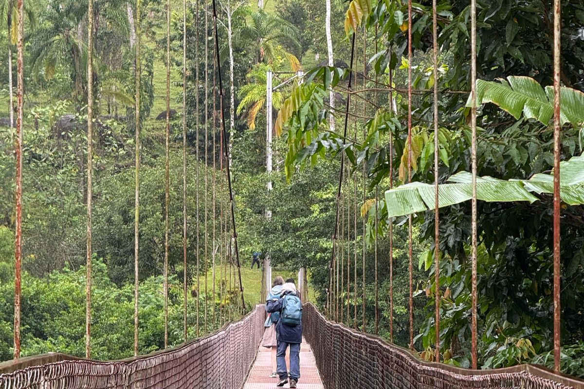 pont dans la jungle un pont suspendu en territoire Brirbi au Costa Rica