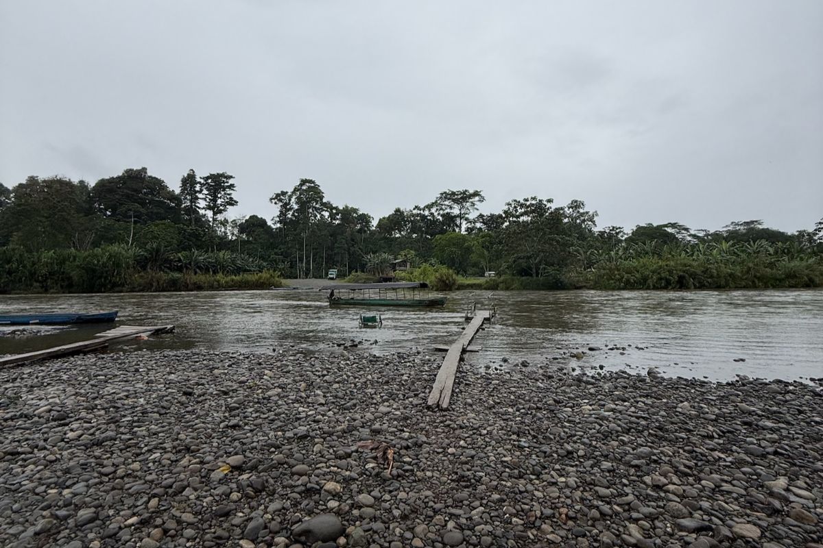 rives telire Les rives du Sixaola à Suretka, au Costa Rica